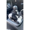 Yumuşak Peluş Vites Körüğü Vites Süsü Dalmaçyalı Siyah Beyaz Yumuşak Peluş Vites Körüğü Vites Süsü Dalmaçyalı Siyah Beyaz