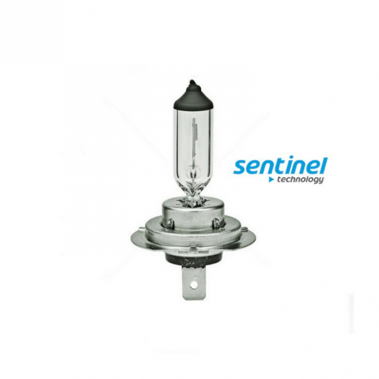 Sentinel H7 Halojen Far Ampülü 12 Volt 55Watt Sentinel H7 Halojen Far Ampülü 12 Volt 55Watt