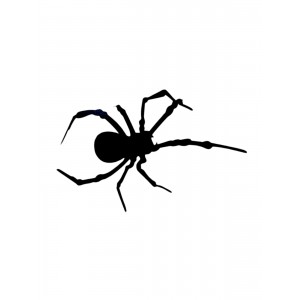 Örümcek Desenli Oto Sticker Siyah 15x8cm